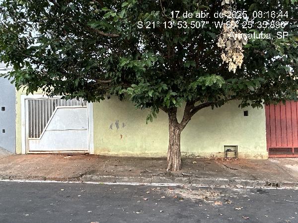 Imagem leilão