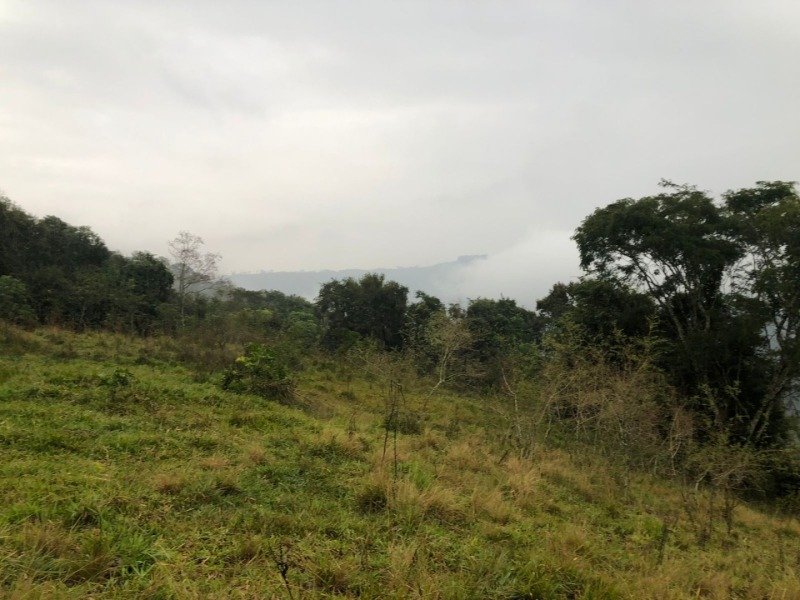 A FRAÇÃO IDEAL DE 50% (128.750,00M²) SOBRE O LOTE RURAL.. em Erval Grande/RS - foto 9