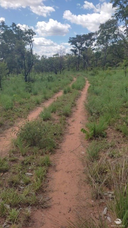"FAZENDA SHELL GÁS", com a área de 565,52,22ha localiza.. em Loreto/MA