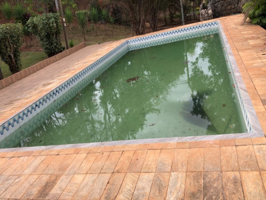 Imagem leilão