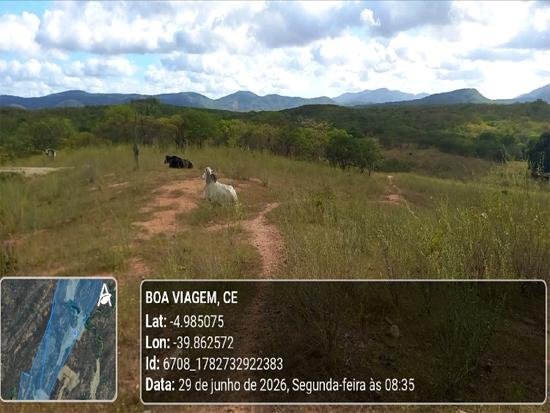 Imagem leilão