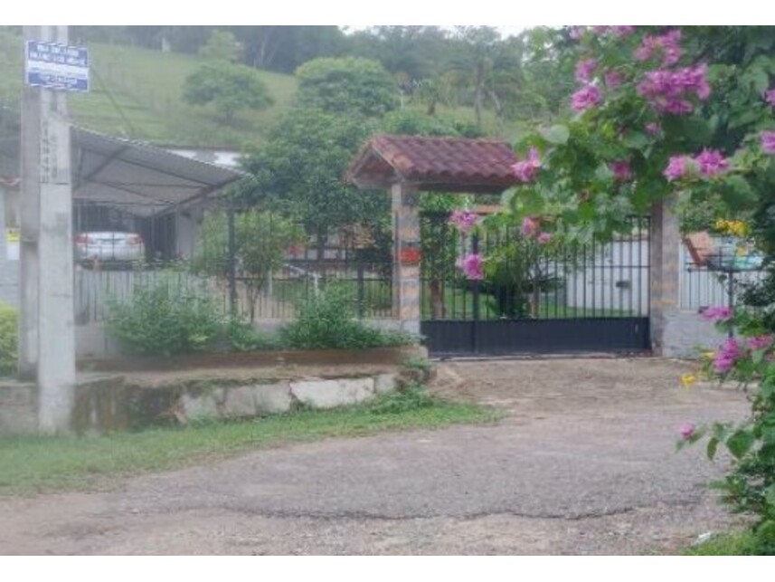 Imagem leilão
