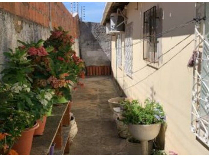 Imagem leilão