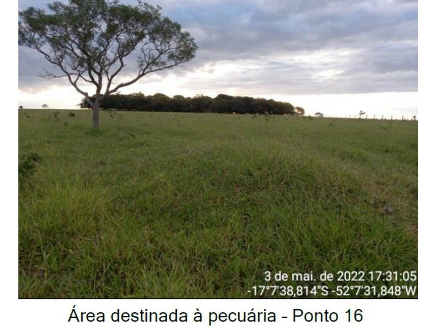 Imagem leilão