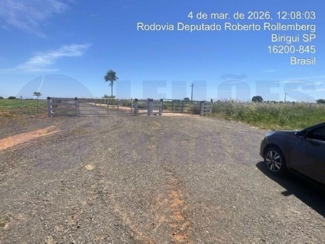 Imagem leilão