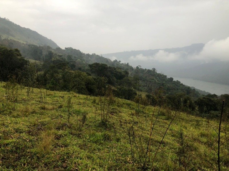 A FRAÇÃO IDEAL DE 50% (128.750,00M²) SOBRE O LOTE RURAL.. em Erval Grande/RS - foto 22