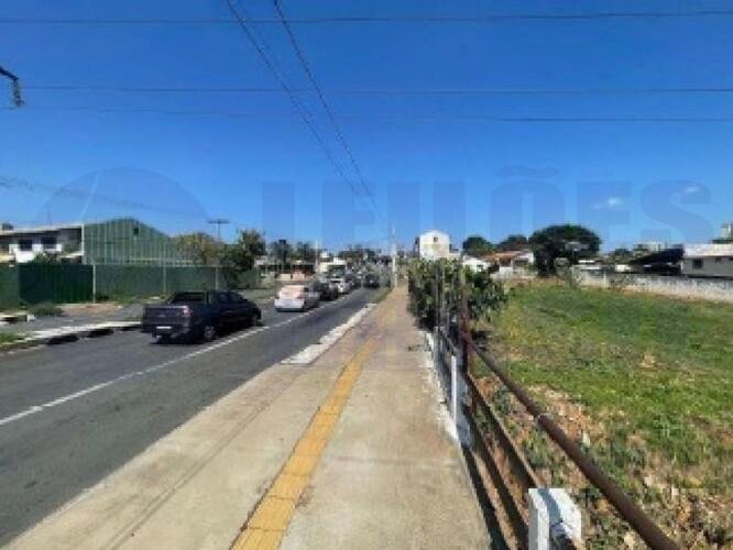Imagem leilão