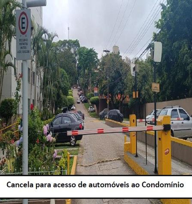 Imagem leilão