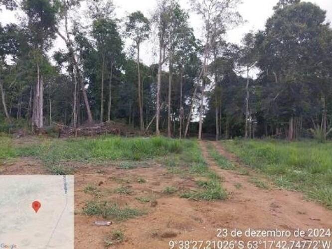 Imagem leilão