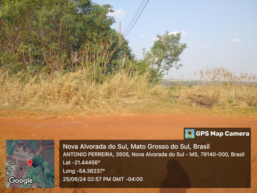 Imagem leilão