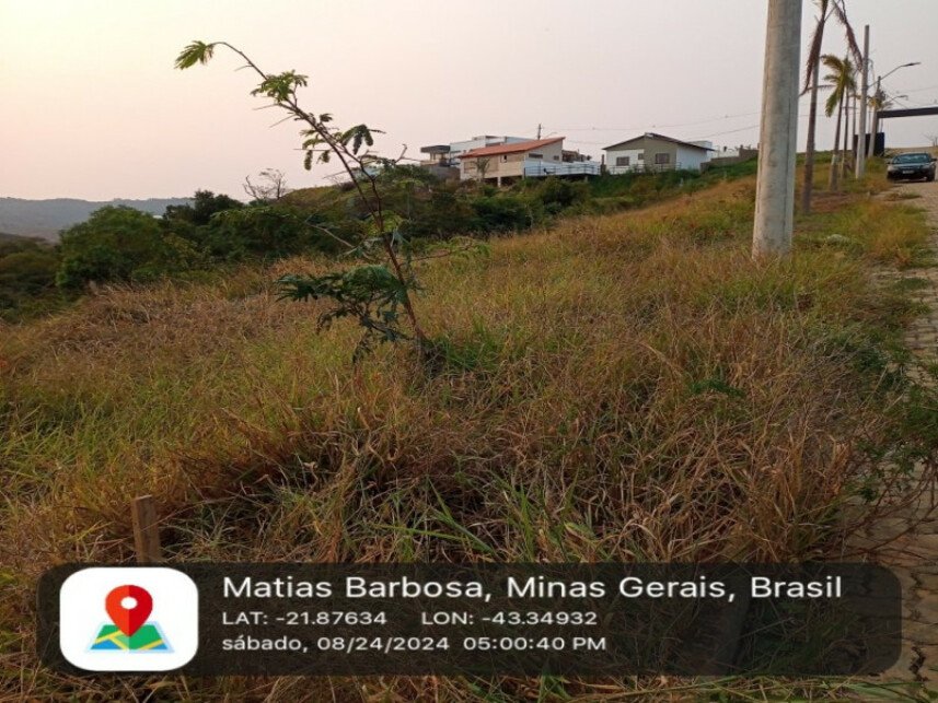 Imagem leilão