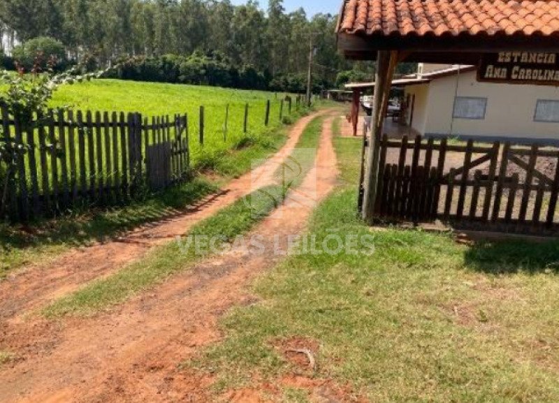 Imagem leilão
