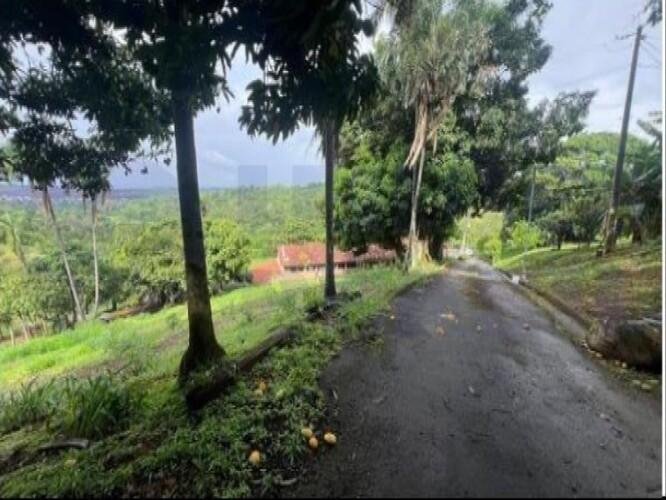 Imagem leilão