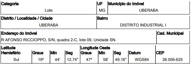 Imagem leilão
