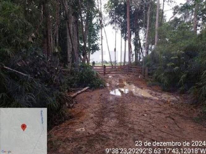 Imagem leilão