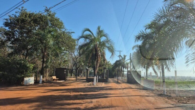 Imagem leilão