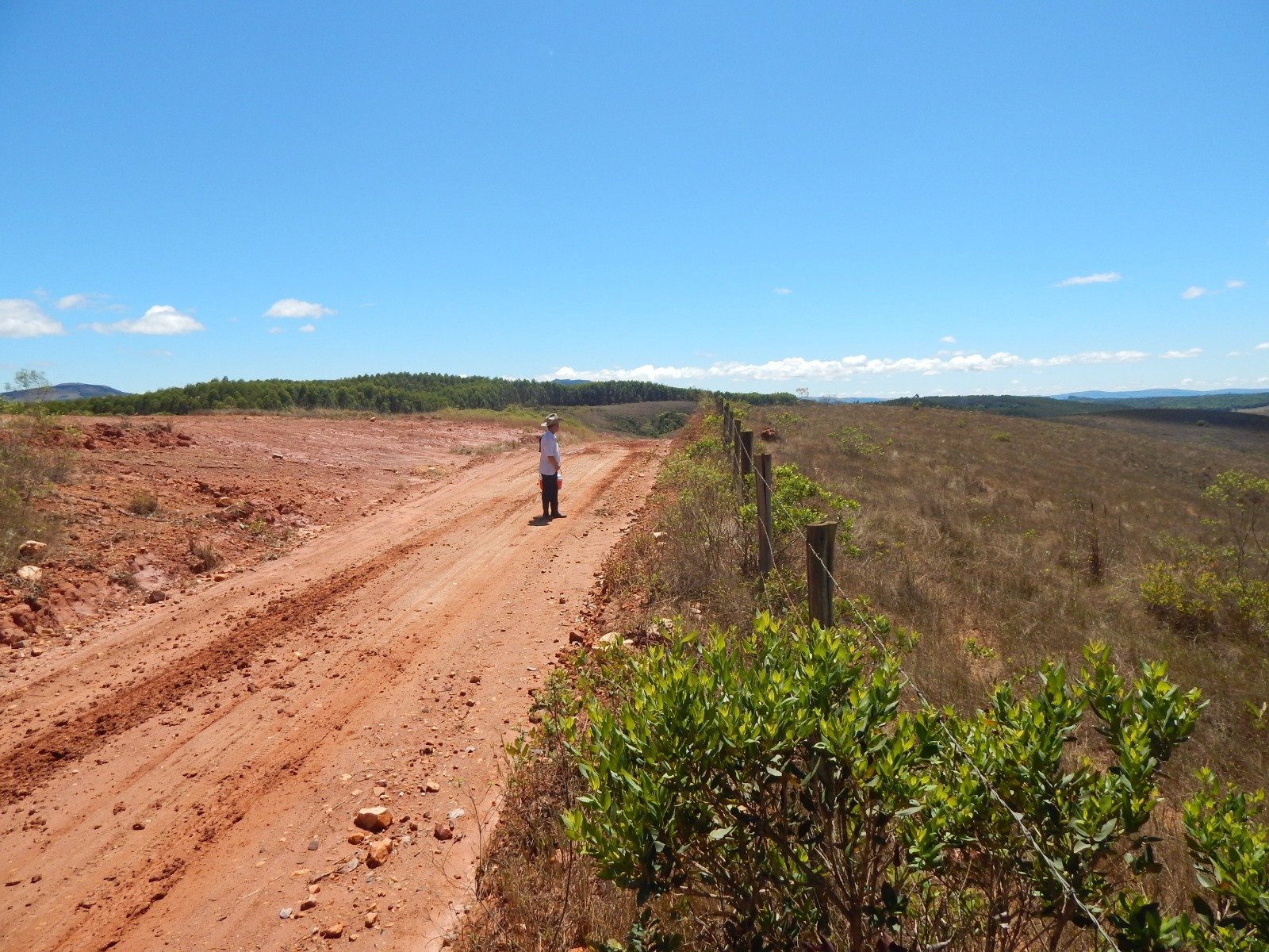 FAZENDA CAMPINAS APROXIMADAMENTE 90HA EM CRUZÍLIA /MG em Cruzília/MG - foto 9