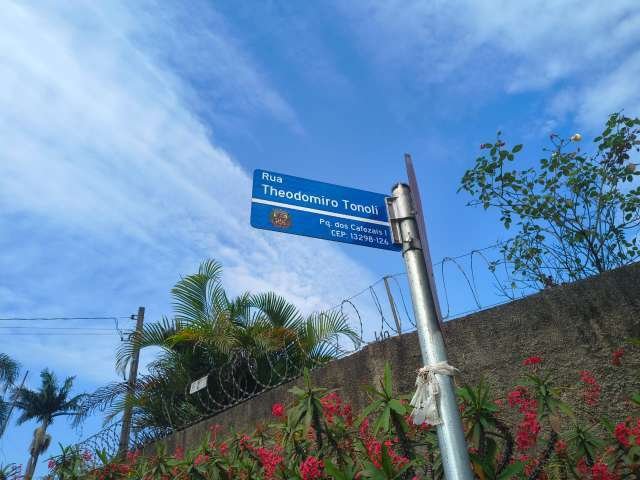 Imagem leilão