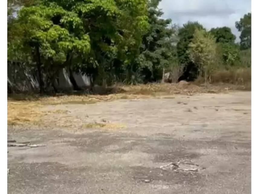 Imagem leilão