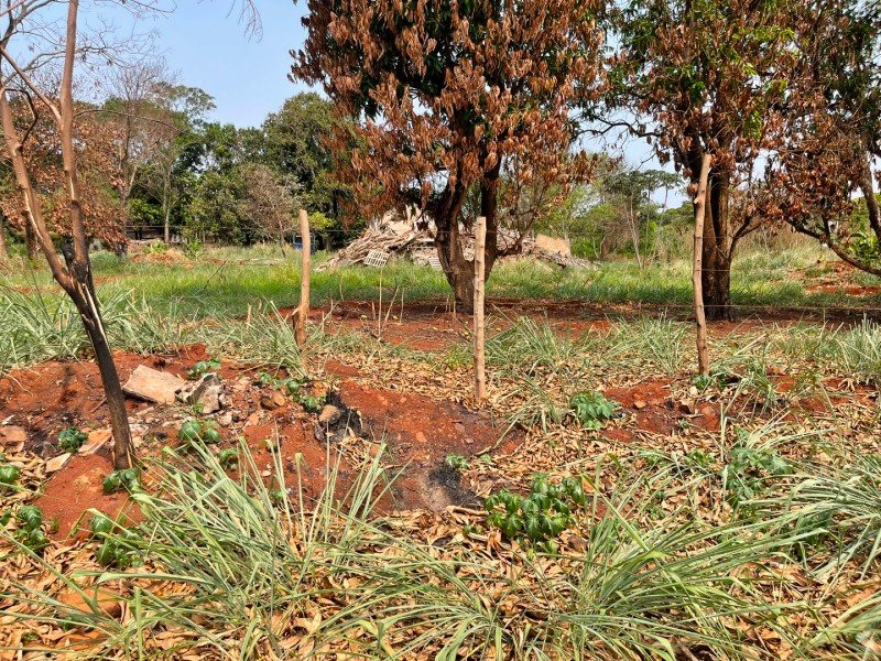 LOTE GLOBAL em Sarandi/PR - foto 2