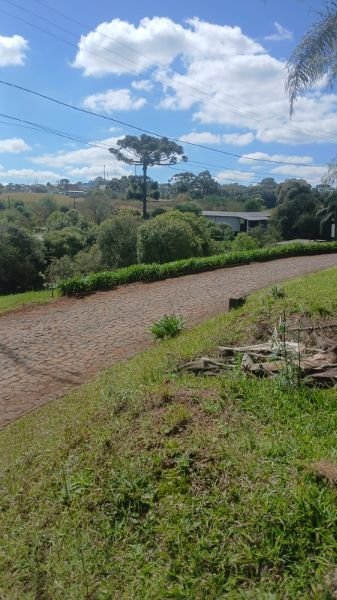 matrícula nº 26.025 em Faxinal dos Guedes/SC - foto 5