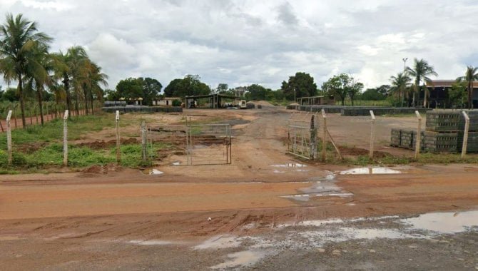 Imagem leilão