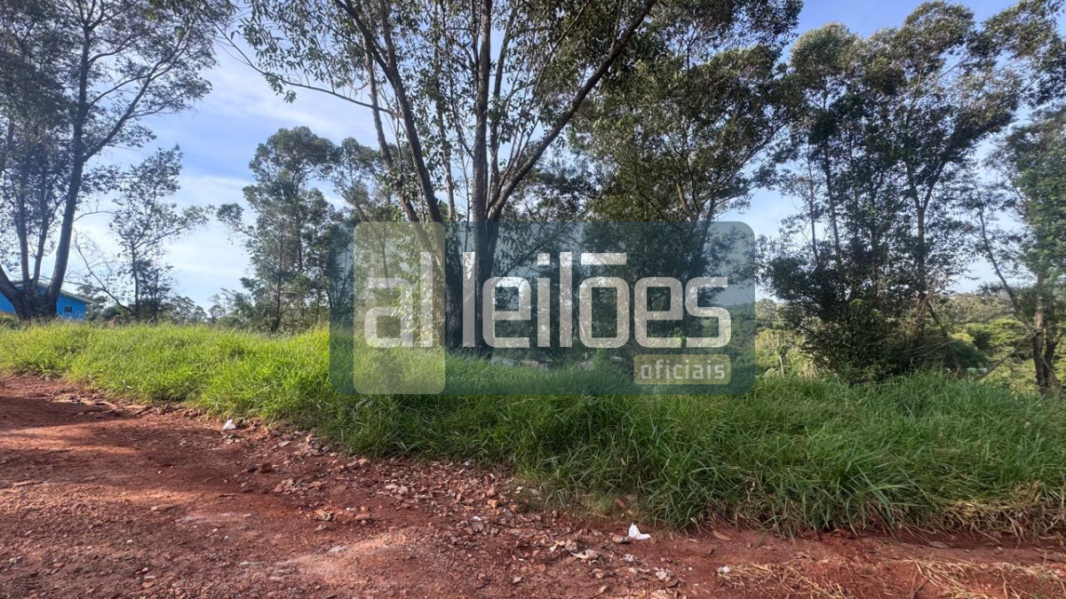 Imagem leilão
