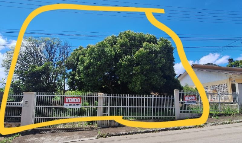 Imagem leilão