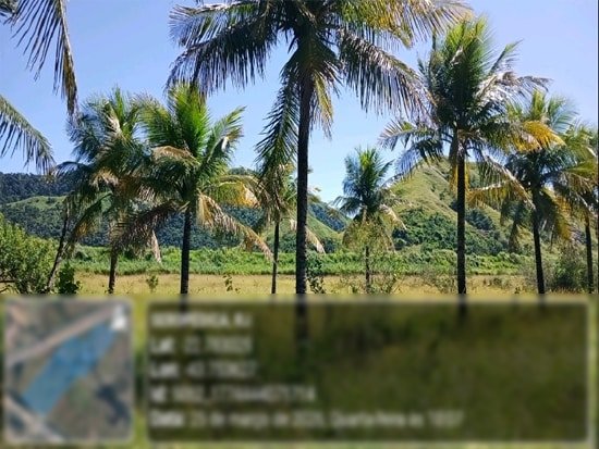 Imagem leilão