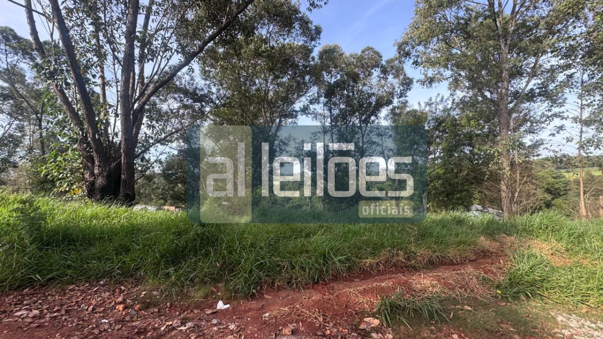 Imagem leilão