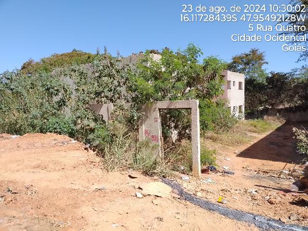 Imagem leilão