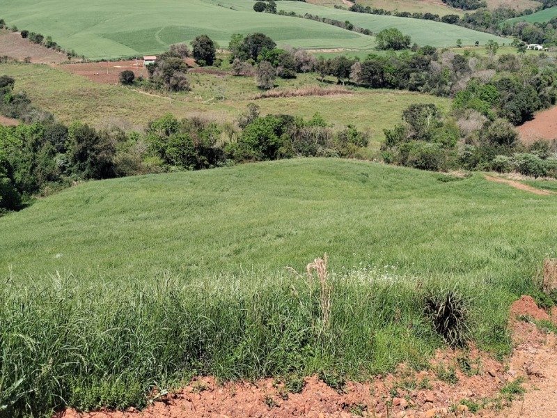FRAÇÃO DE TERRAS COM A SUPERFÍCIE DE 27.000,00M², SITUA.. em Jaboticaba/RS - foto 4