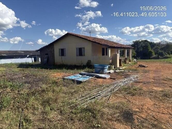 Imagem leilão