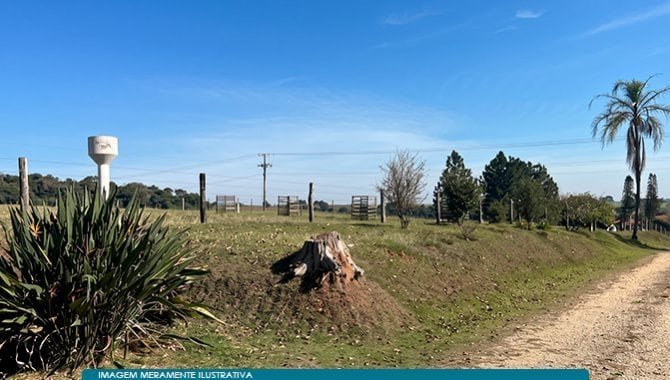 Parte Ideal (50%) sobre Imóvel Rural 271 ha (Fazenda São José Domingos Savio) - Campina - em Itapetininga/SP - foto 6