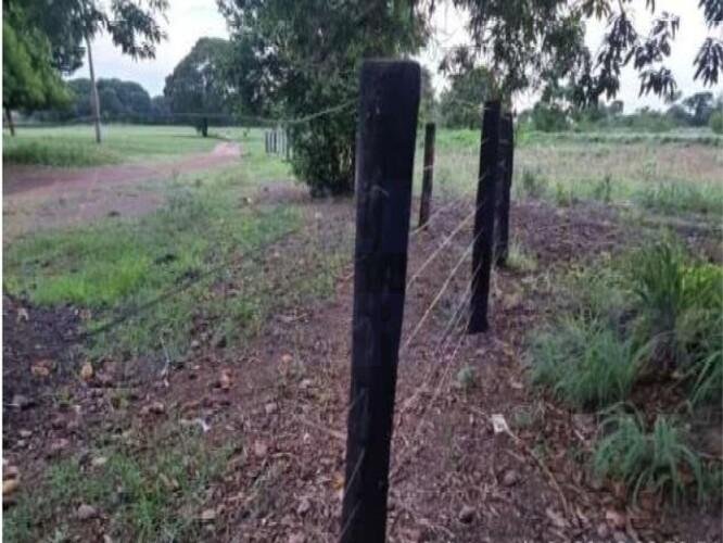 Imagem leilão