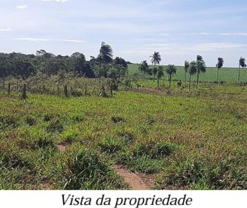 ALIENAÇÃO FIDUCIÁRIA da FAZENDA KALAFATE - Área de 359h.. em Bela Vista/MS - foto 10
