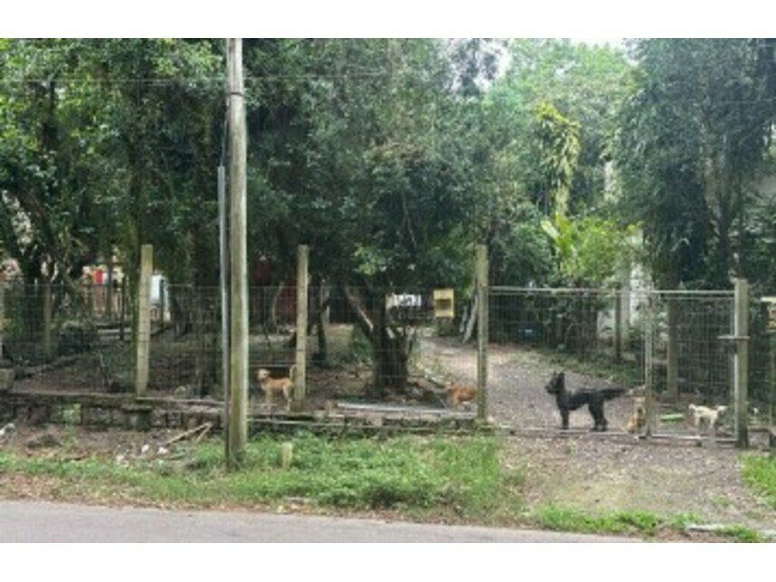 Imagem leilão