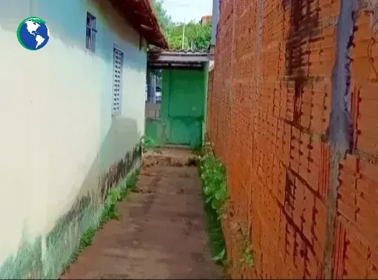 Imagem leilão