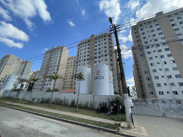 Imagem leilão