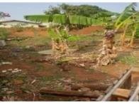 Terreno com 360,00 m² - Campo Grande/MS em Campo Grande/MS - foto 3