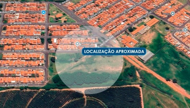 Imagem leilão