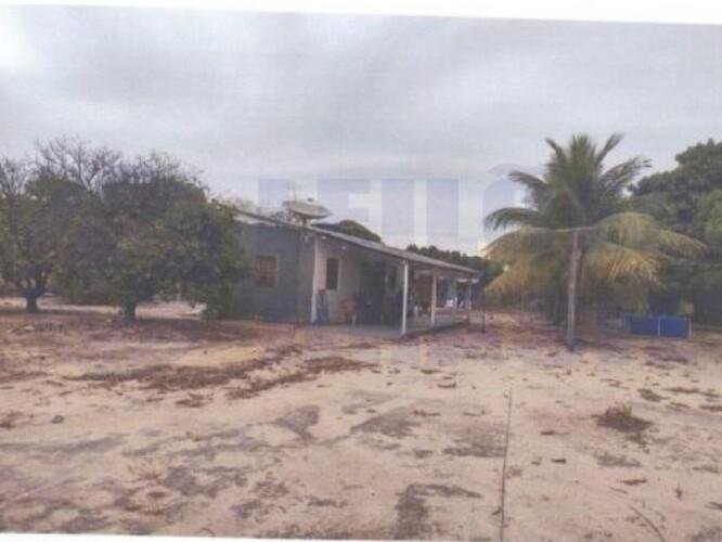 Imagem leilão