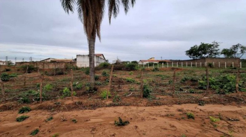 CEARÁ - CRATO/CE - TERRENO em Crato/CE - foto 4