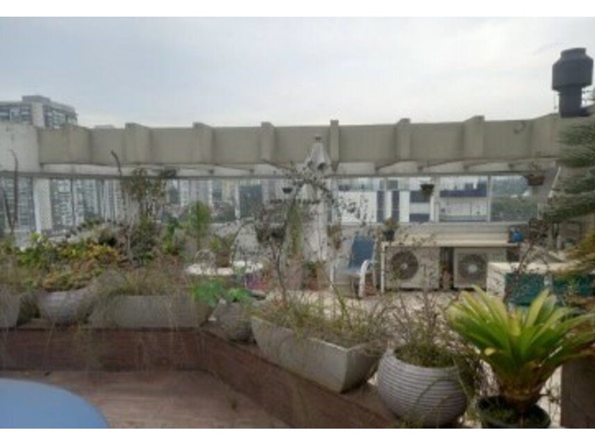 Imagem leilão
