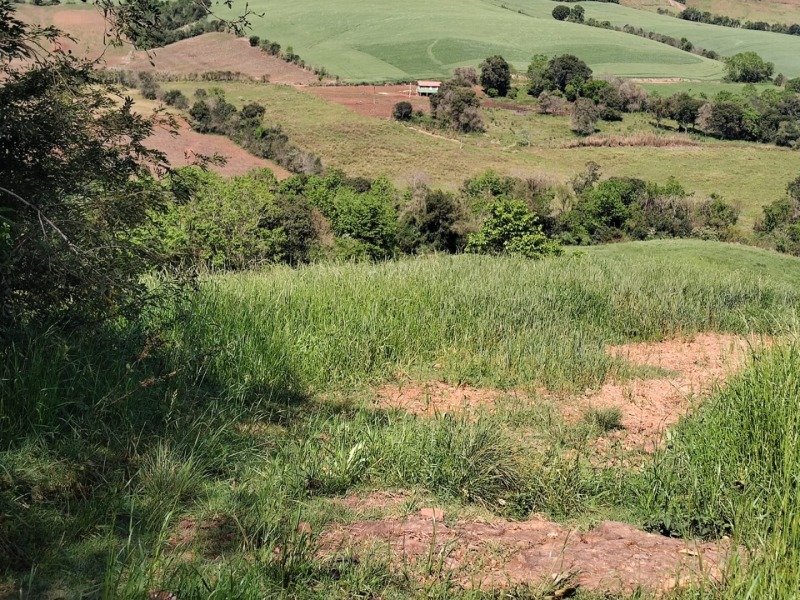 FRAÇÃO DE TERRAS COM A SUPERFÍCIE DE 27.000,00M², SITUA.. em Jaboticaba/RS - foto 9