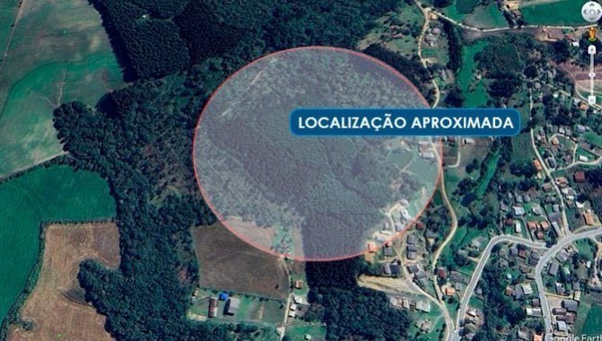 Imagem leilão