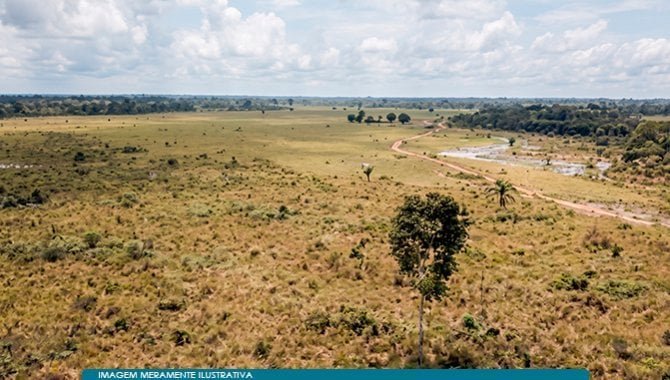 Imóvel Rural 21.780 m² (Fazenda) - Acará - PA em /AC - foto 2