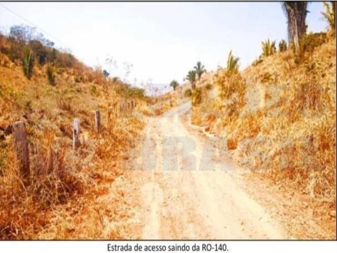 Imagem leilão