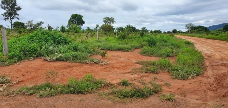 IMÓVEL RURAL COM ÁREA DE 1.899,2700HAS, "FAZENDA VALENT.. em Rosário Oeste/MT - foto 8