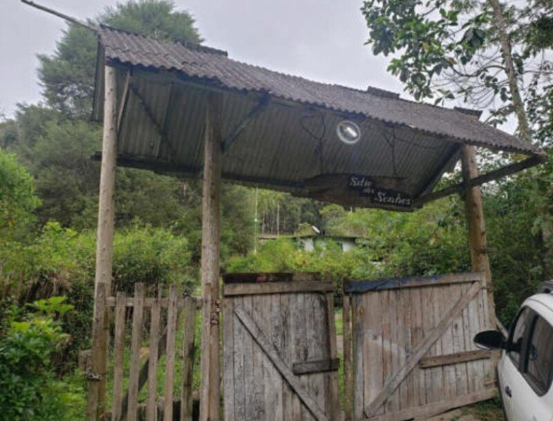 Imagem leilão